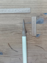 【短軸、規格外】玉蘭別大(数量限定)